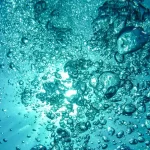 Scoperto un virus sconosciuto in fondo al mare