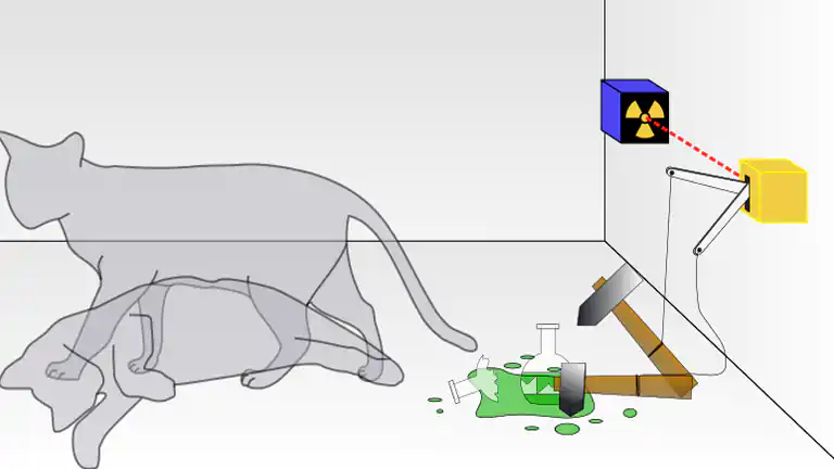 Il Gatto di Schrödinger Il Paradosso che Sfida il Buonsenso