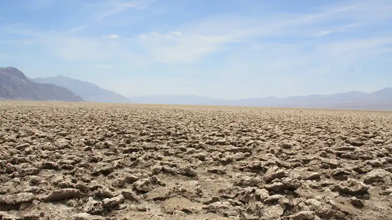 Allarme Il Sistema di Protezione della Vita sulla Terra è a Rischio