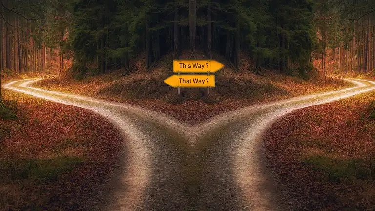 Il Paradosso della Scelta Quando Troppe Opzioni Creano Insoddisfazione