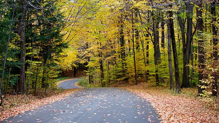 La Fiamma Eterna del Parco Chestnut Ridge