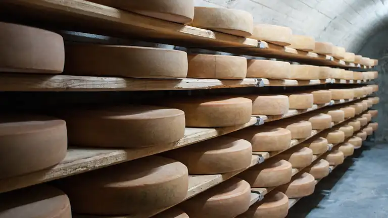 La Scoperta del Formaggio più Antico del Mondo