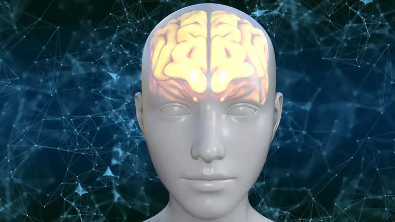 Usiamo solo il 10% del nostro cervello verità o mito