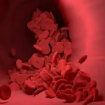 I miti sui vasi sanguigni che sono stati sfatati