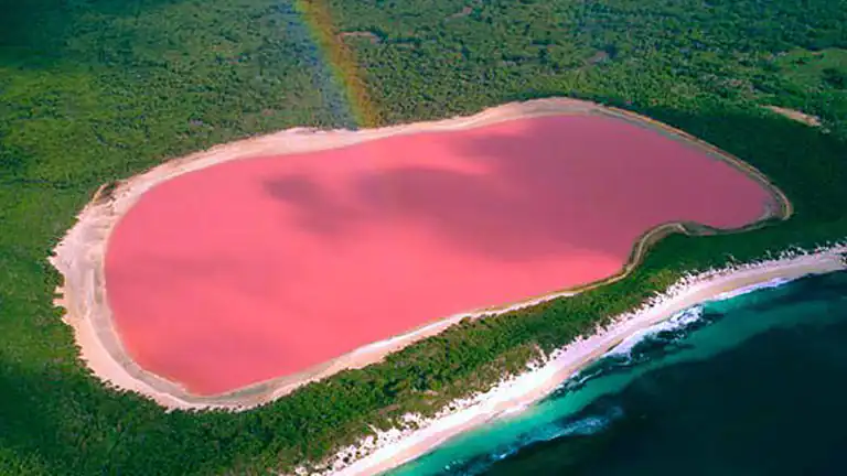 Il Mistero del Lago Rosa Affascinante Segreto del Lago Hillier in Australia