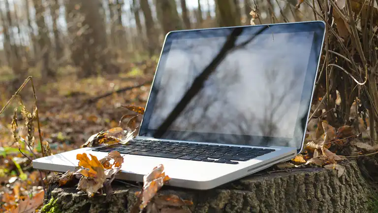 Perchè in questa città degli Stati Uniti il Wi-Fi è vietato