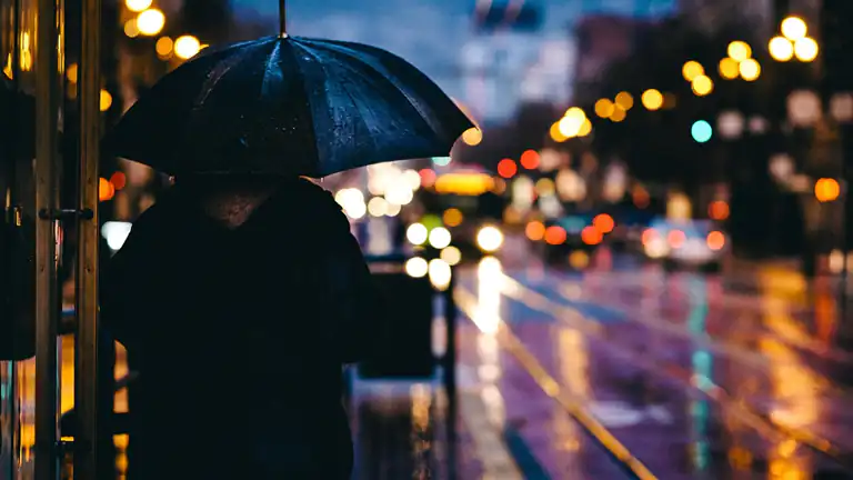 Rain Report Cafe A Seoul il Caffè Dove Piove Ogni 15 Minuti