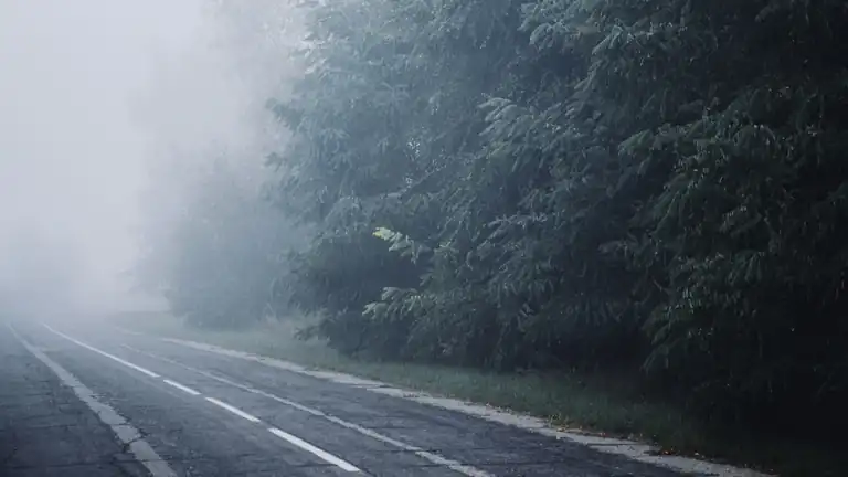 Fogvid-24 la nuova teoria della nebbia come arma chimica