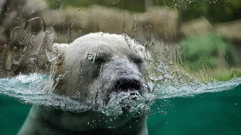 Riscaldamento globale Non tutti ci credono ecco perchè