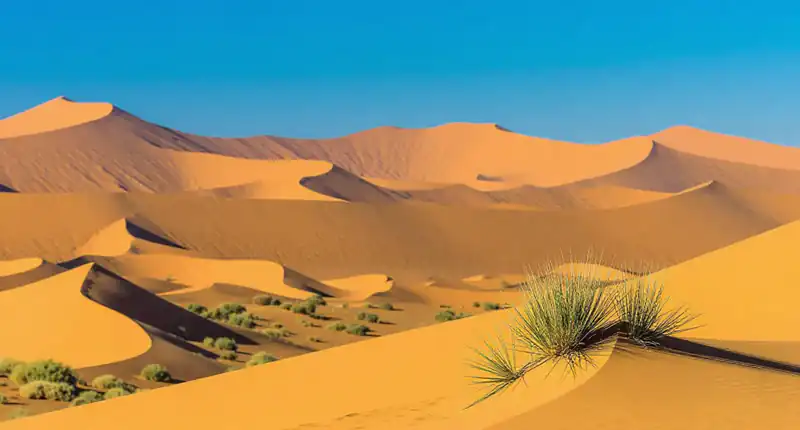 Civiltà sconosciute scoperte nel deserto del Namib