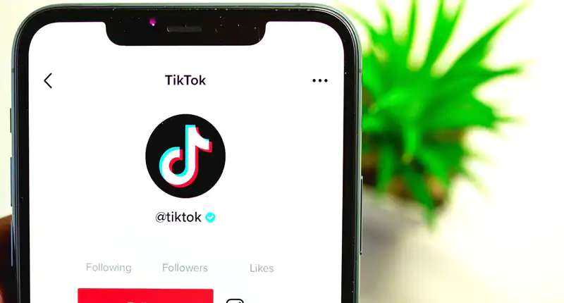 TikTok La Tendenza Che Ha Messo In Pericolo la Vita di una Bambina di 7 Anni
