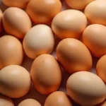 Trump impone i dazi ma gli Stati Uniti chiedono sconti sulle uova a Europa