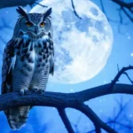 Trump vuole abbattere i gufi in America