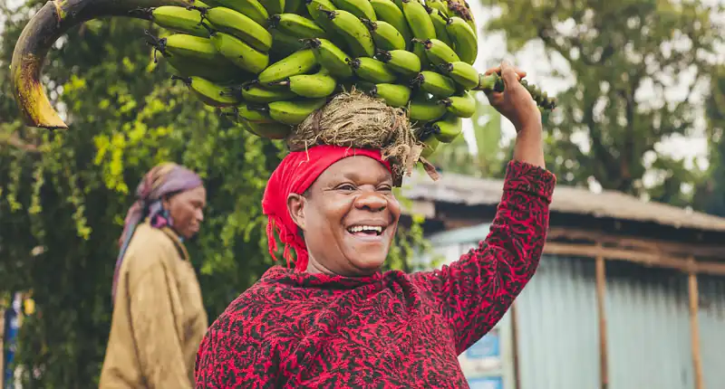 Una buca stradale mai riparata diventa una piantagione di banane