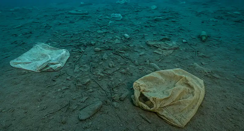 Calypso Deep Scoperta allarmante nel punto più profondo del Mar Mediterraneo