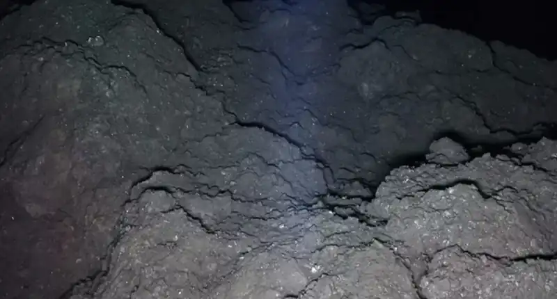 Perché una semplice foto di un asteroide sta spaventando così tante persone