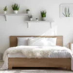 Dormire con le Piante in Camera fa Male