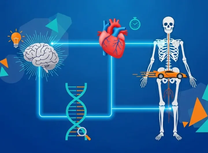 Infografica colorata e stilizzata che mostra diverse parti del corpo umano