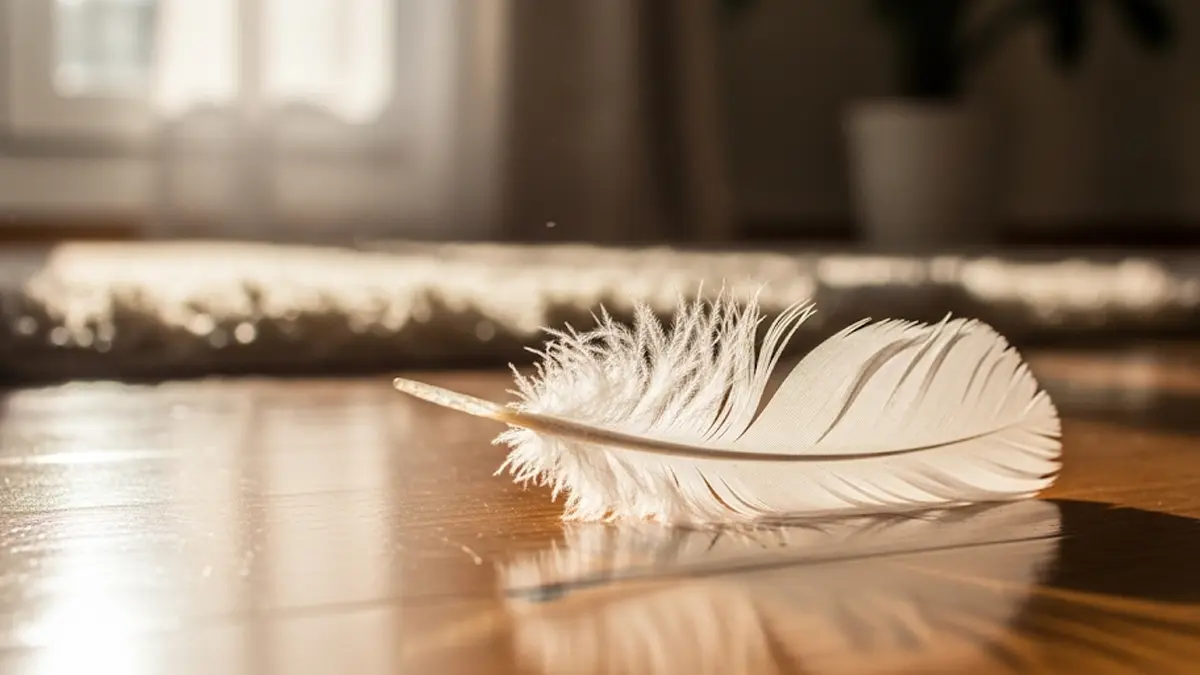 Scopri il vero significato di trovare una piuma bianca in casa