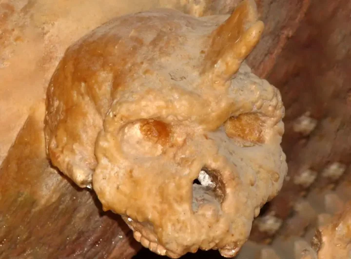 Scopri la storia del teschio di Petralona