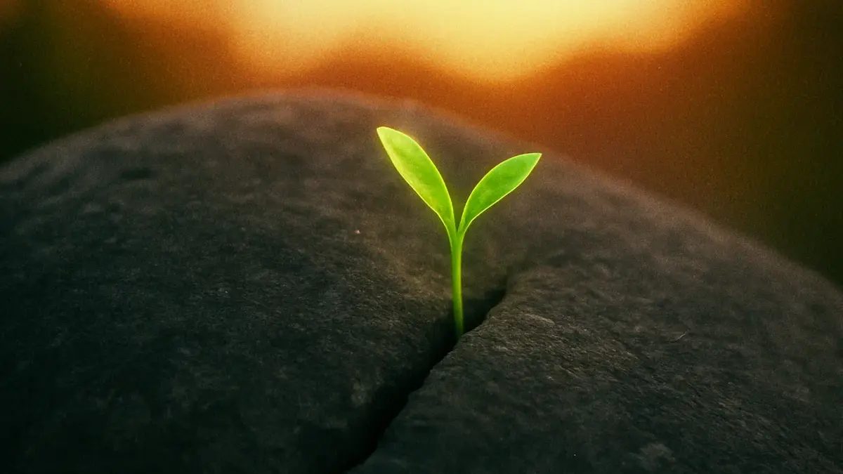 Mani che piantano un piccolo seme verde in un terreno fertile