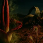 Piante carnivore Drosera e Pinguicula