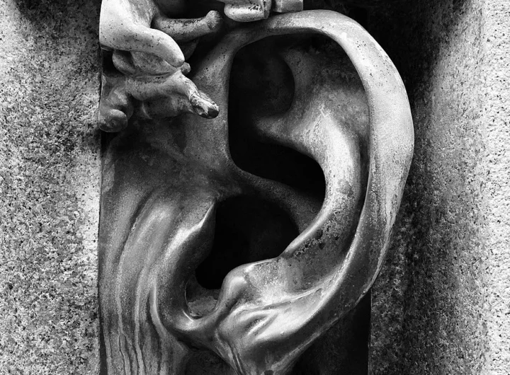 Primo piano de Orecchio sul muro in bronzo del Palazzo Sola-Busca