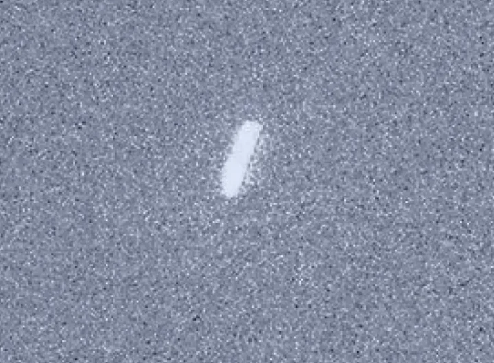 Rover Perseverance su Marte fotografa la cometa interstellare