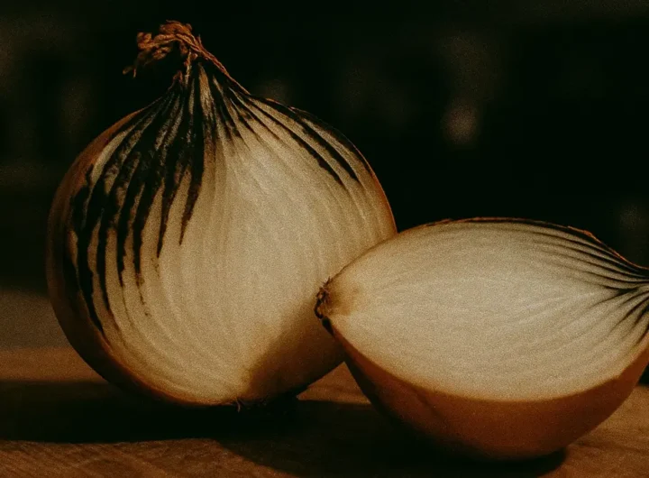 striature-nere-cipolle-muffa-aspergillus