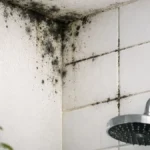 eliminare-muffa-bagno-definitivamente