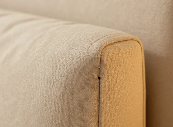 cimici-da-letto-infestazione-europa-cause-rimedi