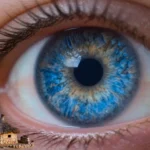 genetica-occhi-azzurri-antenato-comune-scienza