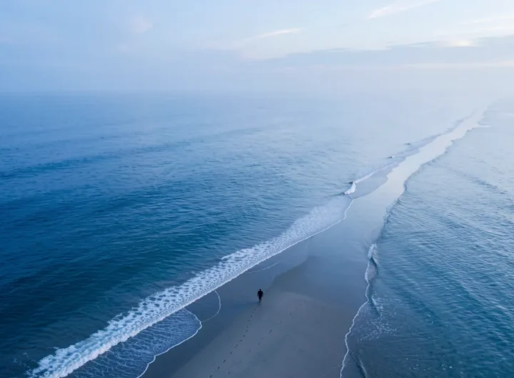 mare-salute-longevita-ricerca-scientifica