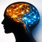 nuove-scoperte-funzioni-cervello-umano-neuroscienze