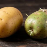 patate-verdi-solanina-rischi-salute-verita