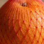 perche-arance-reti-rosse-illusione-ottica