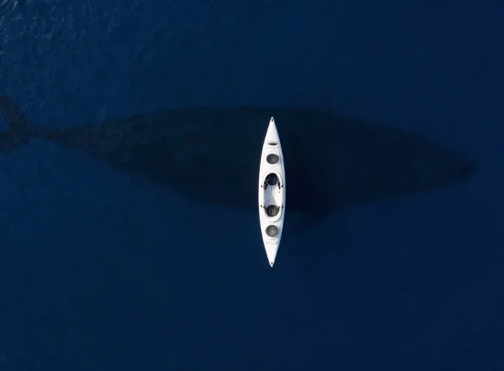 talassofobia-psicologia-terrore-mare-aperto-abisso